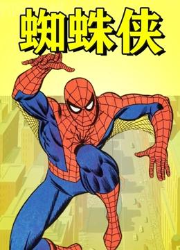蜘蛛侠 动画版