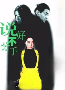 说好不分手（电影版）
