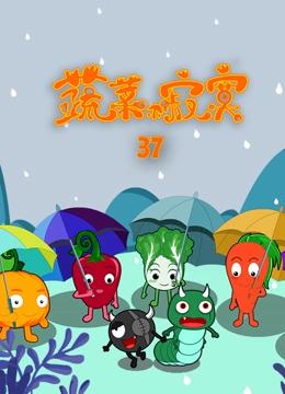 蔬菜不寂寞 第37季