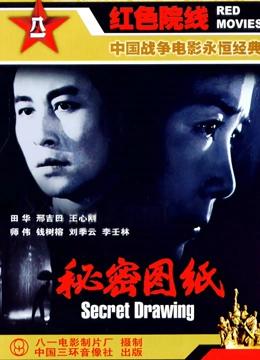 秘密图纸（电影版）