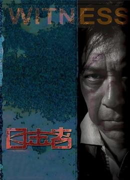 目击者（电影版）