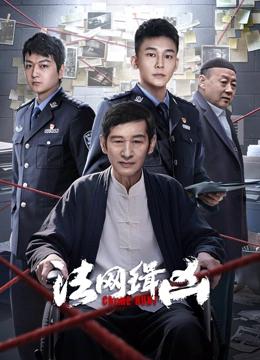 法网缉凶